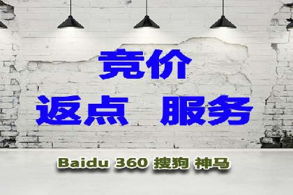 深入解析SEM账户竞价运营成功案例